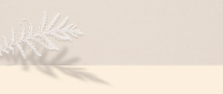 White fern leaf with shadow on a textured paper background with copy space.の写真素材