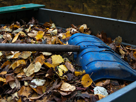 On a pile of yellow autumn fallen and collected in a pile of leaves lies a large blue shovel