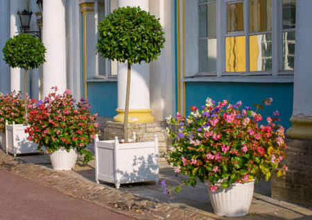St. Petersburg, Russia, summer 2019: Vases with flowers and decorative trees near the service wing of the Catherine Palace in Tsarskoye Seloのeditorial素材