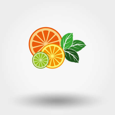 Vector illustration Fruit and mint. Flat design style.のイラスト素材