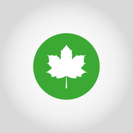 Web icon White maple leaf  on a green button.  Vector illustration. Flat design style.のイラスト素材