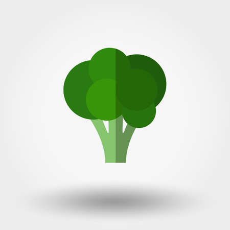 Broccoli. Food Icon for web and mobile application. Vector illustration on a white background. Flat design style.のイラスト素材