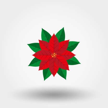 Poinsettia. Christmas Star. Icon for web and mobile application. Vector illustration on a white background. Flat design styleのイラスト素材