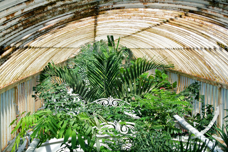 Botanical Gardenの写真素材
