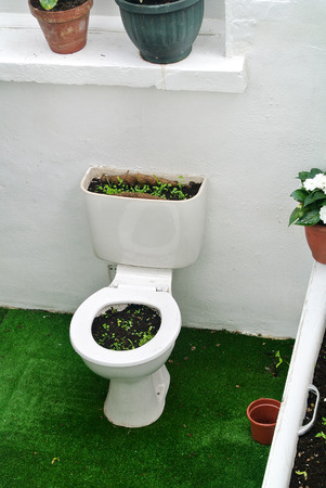 converted bathroom in the gardenの写真素材
