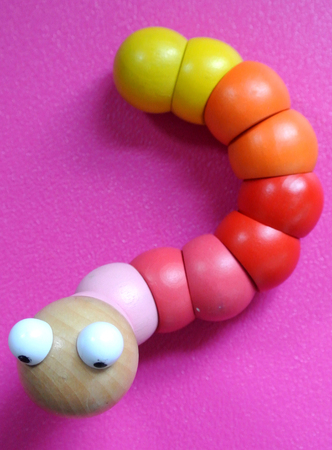 wooden caterpillar
