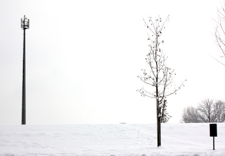 Winter landscape with snowの写真素材