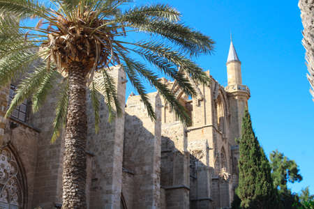 Bottom view of the palm tree and the minaret of the Lala Mustafa Pasha Mosque (former St. Nicholas...
