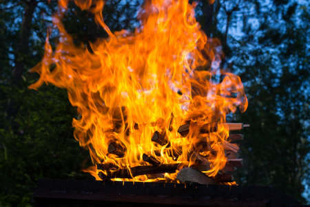 A large flame from burning wood piled in a woodpile, against the background of the forest and the...
