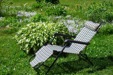 A light checkered folding chair for outdoor recreation stands on the grass next to a flower bed with Hosta and nemophila flowers.の写真素材