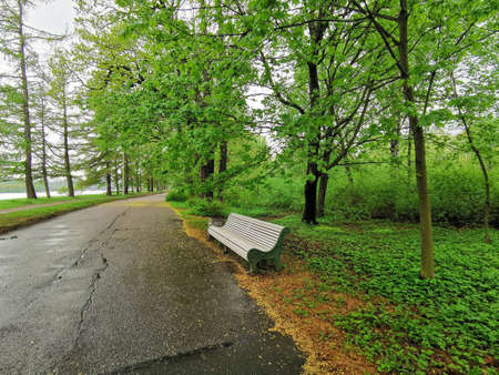 A deserted, wet road with benches along the river on a cloudy spring morning in a park on Elagin...