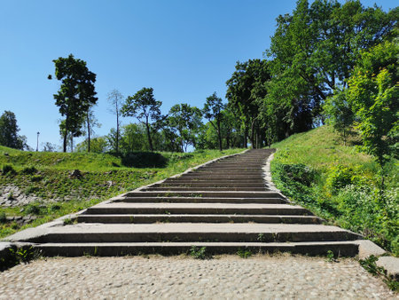 A view from below of a wide stone staircase in the Summer Garden of the city of Kronstadt against the background of a cloudless skyの写真素材