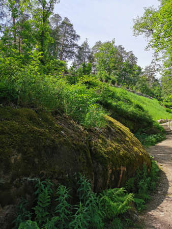 A path past a boulder fence with trees growing on it in the rocky natural park Monrepos of the city...