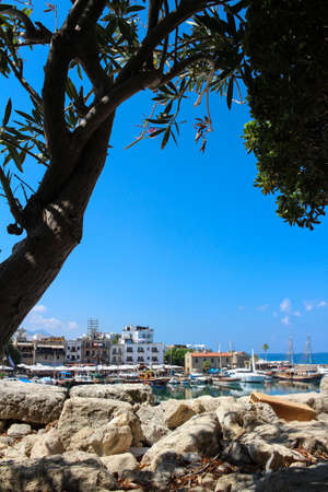 View of the Cyrenian Harbor from under a tree with pink flowers. Kyrenia. Cyprus.の写真素材