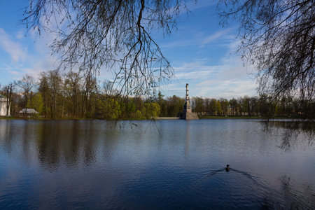 A duck swimming to the Chesma column in the Big lake of the Catherine Park, through the branches of trees. Against a blue sky with clouds.の写真素材