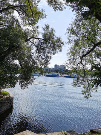 View of the yachts standing off the coast of Krestovsky Island through the branches and foliage of...