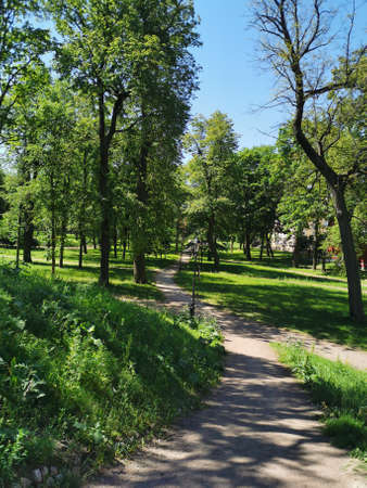 The road downhill among the trees in the Summer Garden of the city of Kronstadt against the...