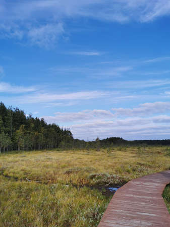 A section of flooring made of brown boards of the Sestroretsk swamp eco-trail without people,...