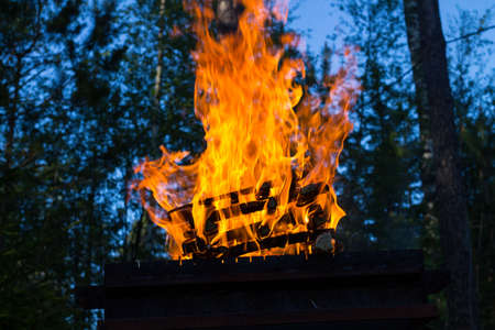 Bottom view of the flames from the firewood burning on the grill, against the background of the forest and the blue sky.の写真素材