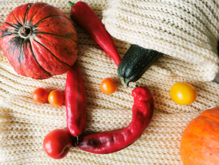 Two small orange pumpkins, one with green stripes, zucchini, orange, yellow and red tomatoes, three red peppers lie on a light knitted background.の写真素材