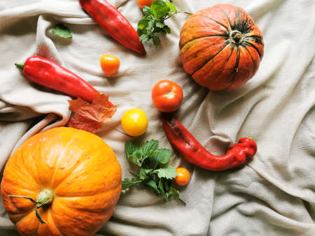 Two orange pumpkins, one with green stripes, orange, yellow and red tomatoes, three red peppers, mint sprigs and a maple leaf lie on a light fabric. Top view.の写真素材