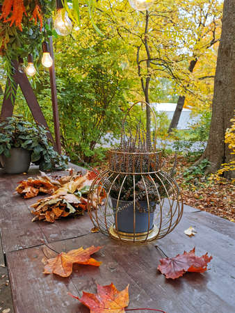 A brown wooden table of a street cafe with heather in a flowerpot in the form of a lantern next to maple leaves, decorated with plants and burning bulbs from above in an autumn park on Elagin Island in St. Petersburg.の写真素材