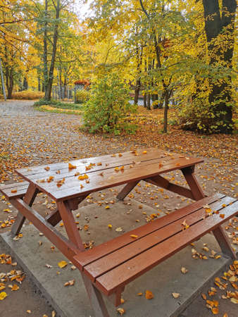 A brown wooden table and benches of an outdoor cafe, covered with fallen leaves, in an autumn park...