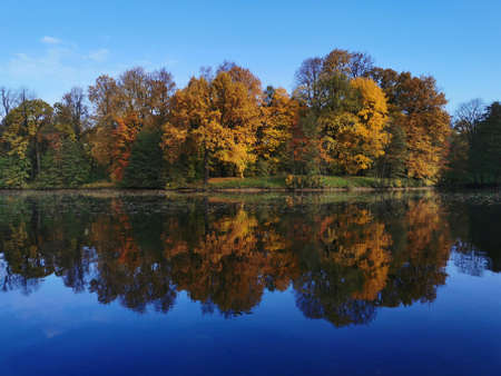 A lake in the park on the Elagin Island of St. Petersburg, which reflects the trees growing on the...