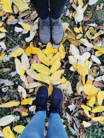 Top view of women's legs in jeans and shoes standing on the fallen yellow leaves of the Manchurian walnut in the park on the Elagin Island of St. Petersburgの写真素材