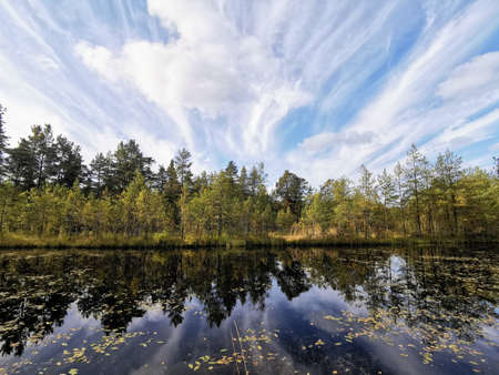 A mirror image of trees with yellowing leaves and the sky with feathery clouds in the water of a...