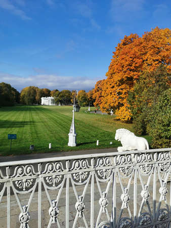 Saint Petersburg. View of the fence, a white lion sculpture, an oil meadow, a beautiful lantern, a pavilion and autumn leaf trees in the park on Elagin Islandのeditorial素材