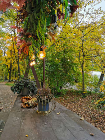 A brown wooden table of a street cafe with heather in a flowerpot in the form of a lantern next to maple leaves, decorated with plants and burning bulbs from above in an autumn park on Elagin Island in St. Petersburg.の写真素材