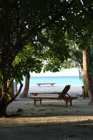 A view from under the branches of a tree to the coast of the Indian Ocean with white sand, azure...