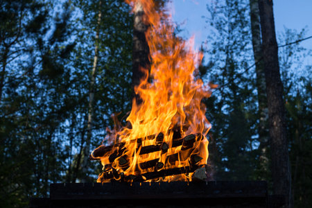 Flames from burning wood stacked in a pyramid on the grill against the background of the forest.