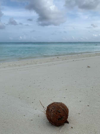 Evening in the Maldives, view of the Indian Ocean with white sand, coconut and azure water against a...