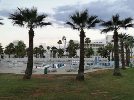 Protaras. Cyprus. Evening in Cyprus. A swimming pool surrounded by sun loungers and parasols surrounded by palm trees against a blue sky with clouds.のeditorial素材
