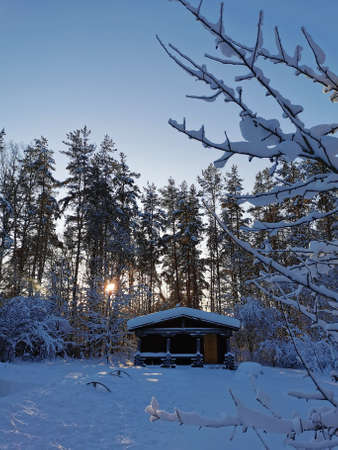 A one-story wooden house - a bathhouse made of a round dark-colored log in the snow among snow-covered trees against the backdrop of the setting sun on a frosty winter day. Leningrad region.の写真素材