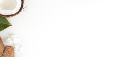 Fresh coconut on white background. Oil, ingredients for health. Copyspace, banner.の写真素材