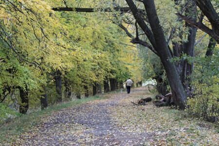 Walk in the autumn forest.の写真素材