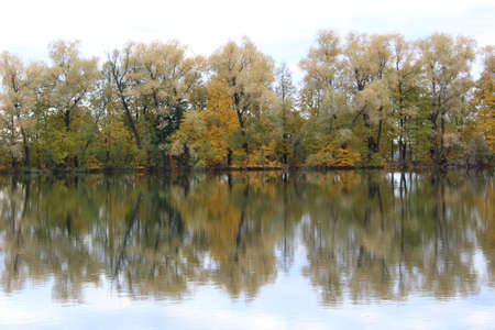 The beautiful shore of the lake.の写真素材