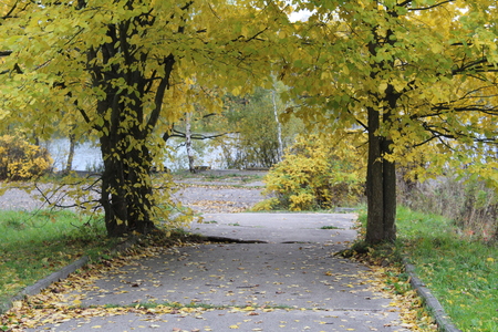 Path to the lake in the fall.の写真素材