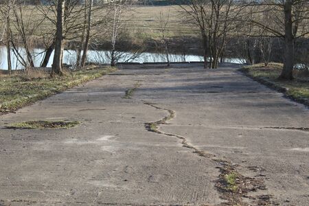 landscape alley in the park and a pondの写真素材