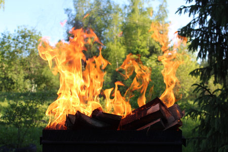 fire in the grill for frying meat in nature on a picnic