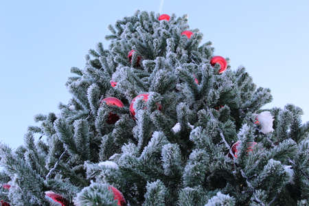 Christmas tree with red balls and a garland in the snow