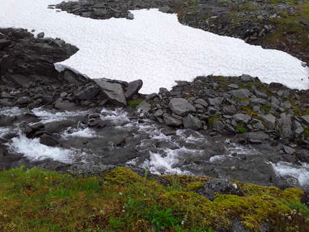 mountain river in the Northern Urals in summerの写真素材