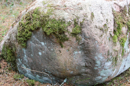 a huge stone covered with mossの写真素材