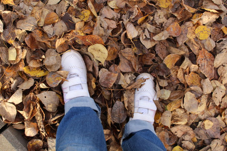 walking through the autumn forestの写真素材