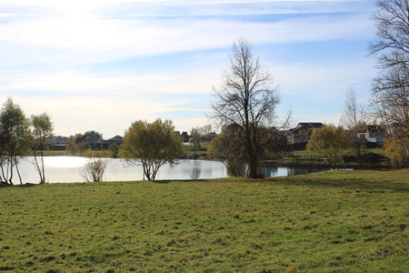 landscape a beautiful picturesque lake in the forest in autumnの写真素材