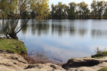 landscape a beautiful picturesque lake in the forest in autumnの写真素材