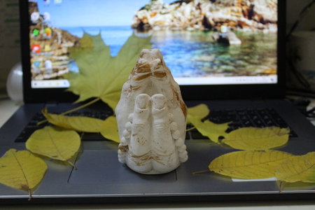 hands in prayer close-up and laptop with autumn leavesの写真素材